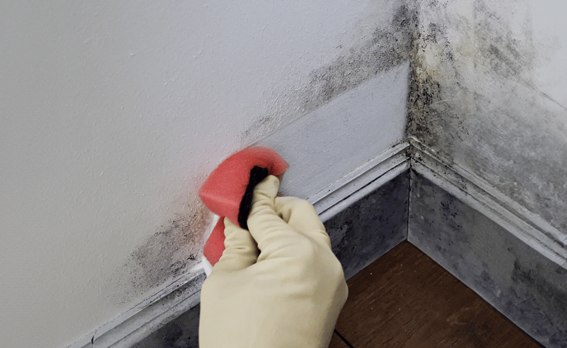 How do I get rid of black mould?