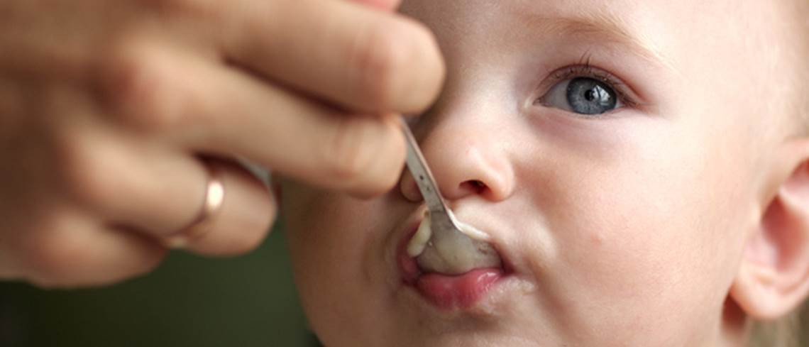Hygiene beim Füttern