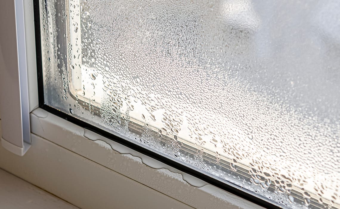 What causes black mould?