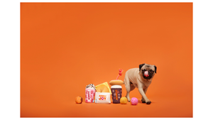 Dunkin’ and the Dunkin’ Joy in Childhood Foundation dog toys collection, BARK