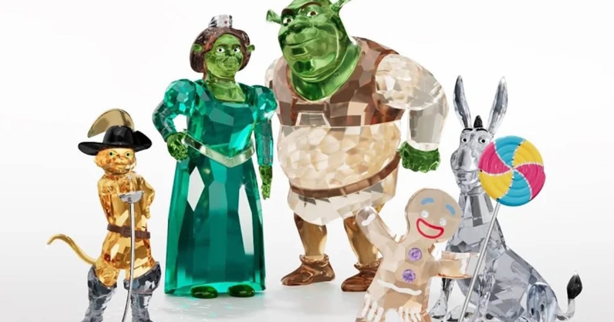 Shrek Infinity Fandom is Universal