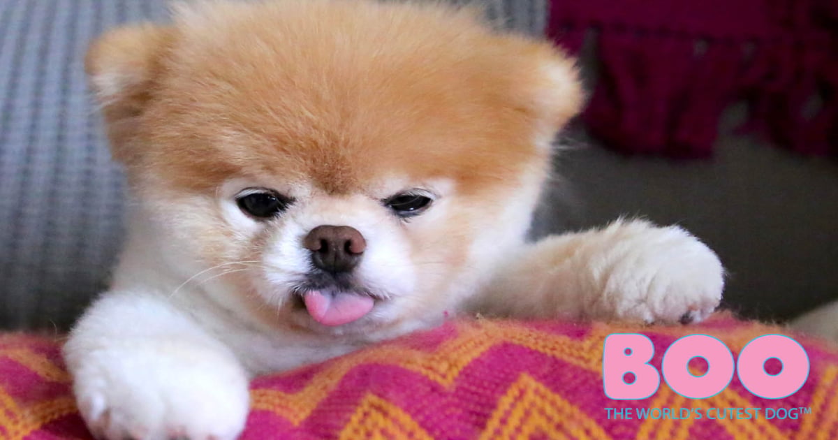 BOO Shop and Calendars are Coming Soon | License Global