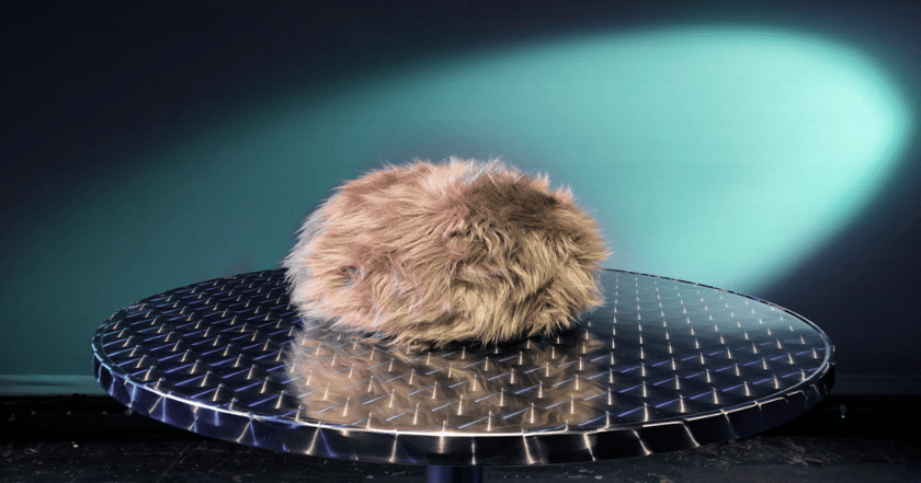 A Most Curious Creature: Science Division, CBS Unveil Interactive ...