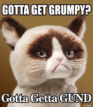 Gund grumpy online cat