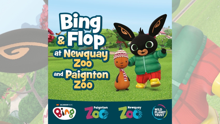 Bing and Flop at U.K. zoos promotional poster, Acamar Films, Wild Planet Trust