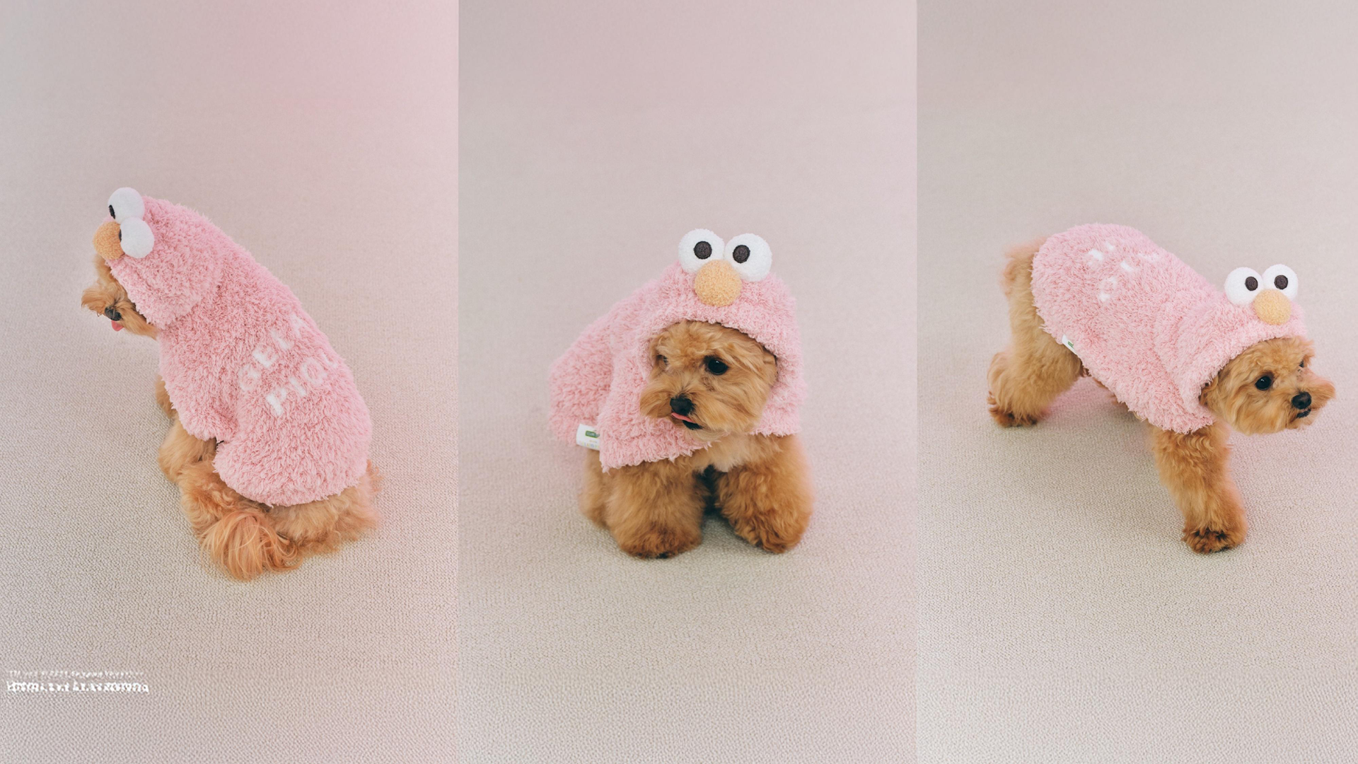 gelato pique SESAME STREET シングル 3点セット 新品 gelato pique セサミストリート シングルサイズ 3点セット gelato