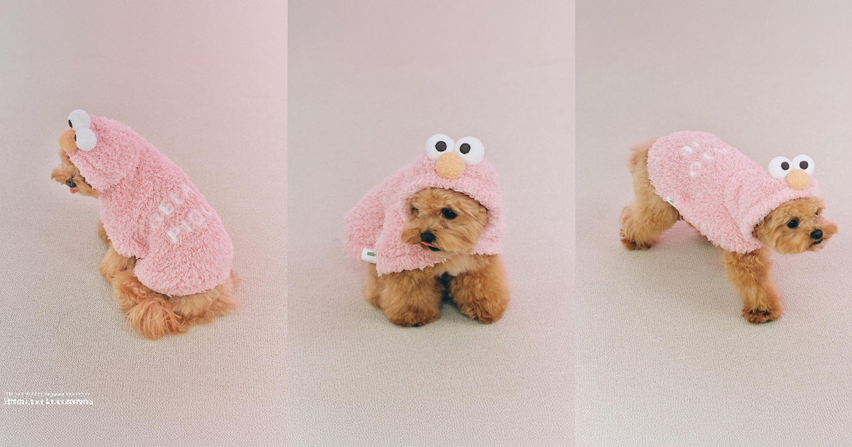 Gelato Pique Launches Second 'Sesame Street' Collection