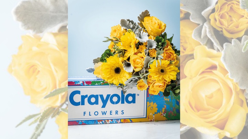 Crayola Flowers Launched by Crayola