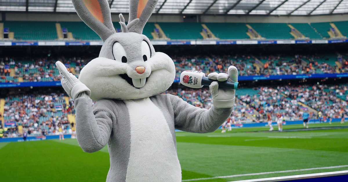 Fanatics, Warner Bros., England Rugby Launch Looney Tunes-Inspired Merch