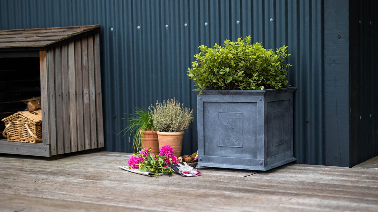 Hot New Rhs RHS Partners with Agriframes for New Collection of Planters