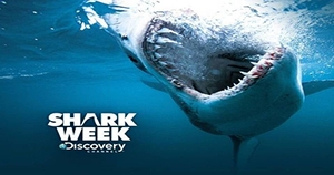 Discovery Bites Off Shark Week Toys | License Global