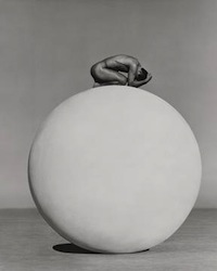 Trunk Archive Takes on Herb Ritts | License Global