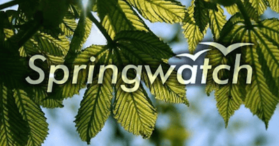 BWI to Rep BBC’s 'Springwatch' | License Global