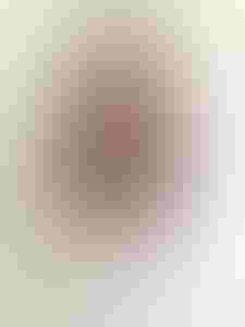 Henna Riaz Establishes HRR Entertainment | License Global