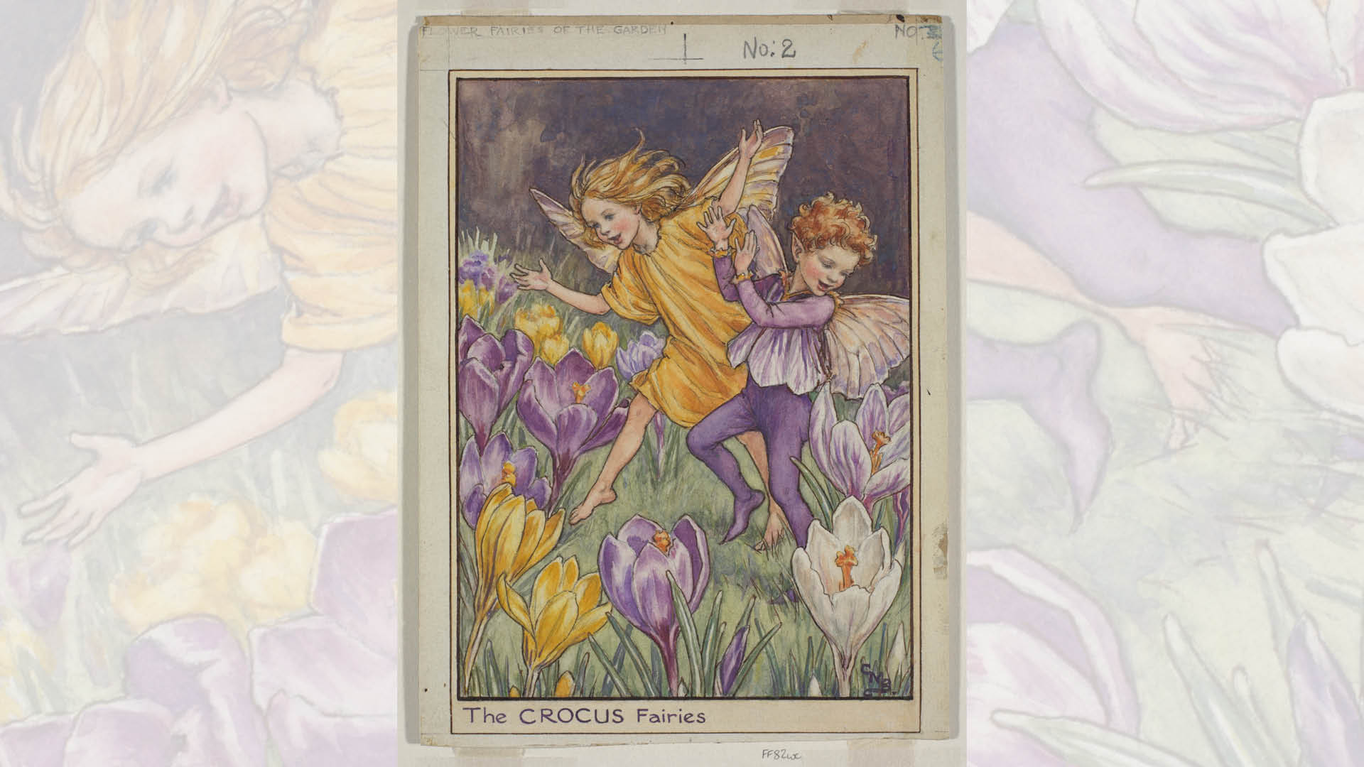 Penguin Ventures Marks 100 Years of 'Flower Fairies' with