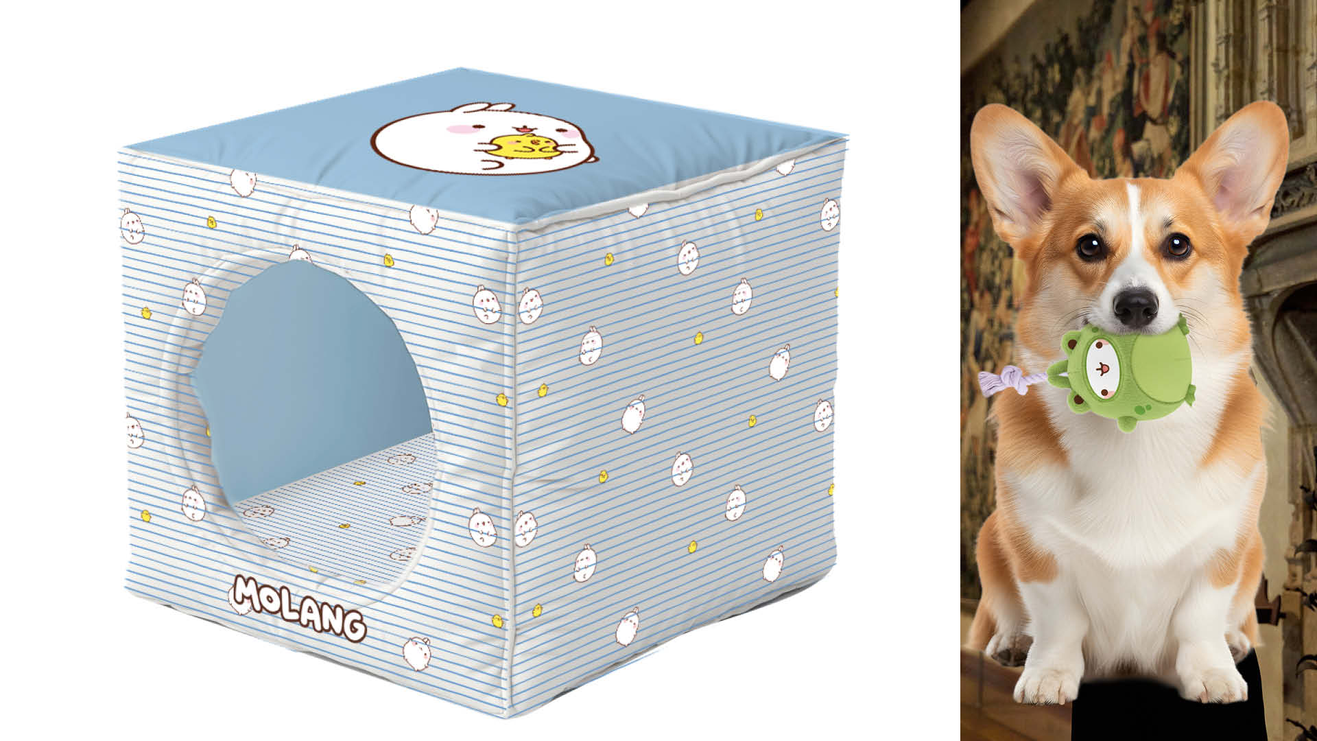 Millimages Launches 'Molang' for Pets Toy and Accessory Range
