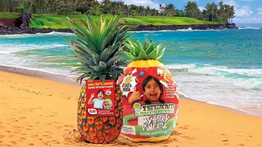 Ryan’s World and Dole sweepstakes pineapple and “Ryan’s World Island Adventures” Mystery Pineapple toy. 