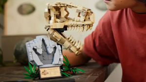 Jurassic World LEGO Fossil, NBCUniversal