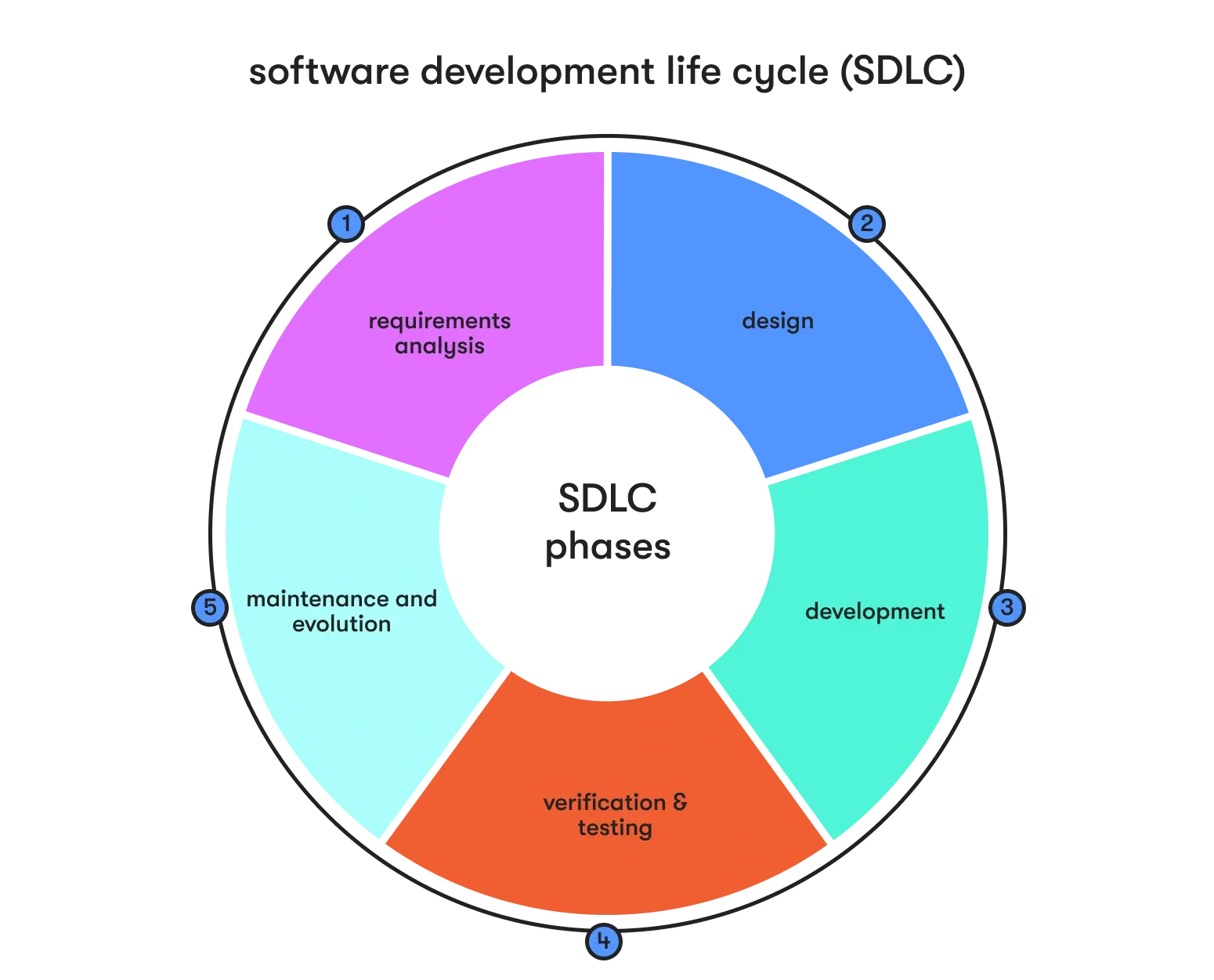 SDLC phases in software development cycle