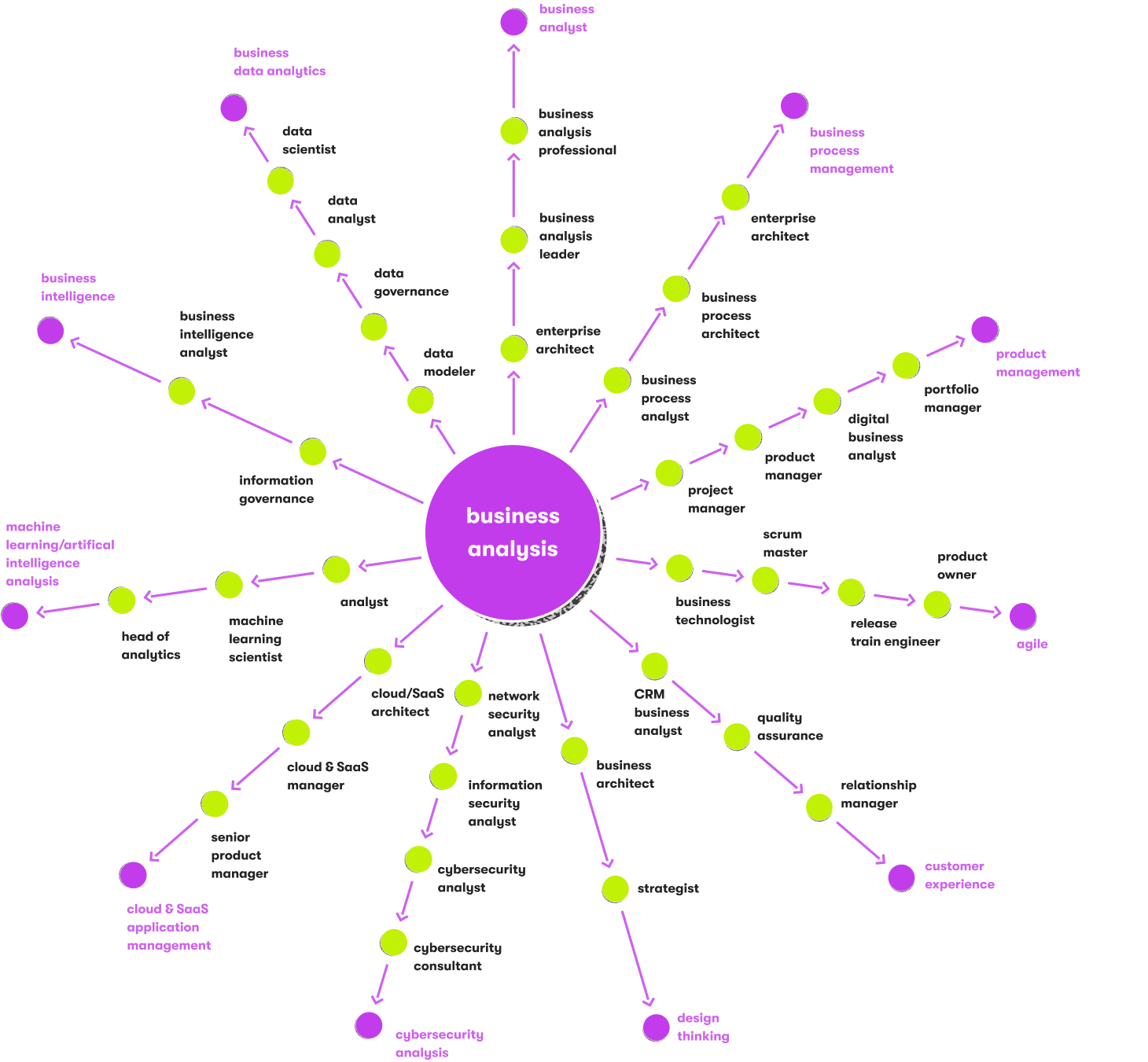 a variety of career paths as a major business analysis trend illustration