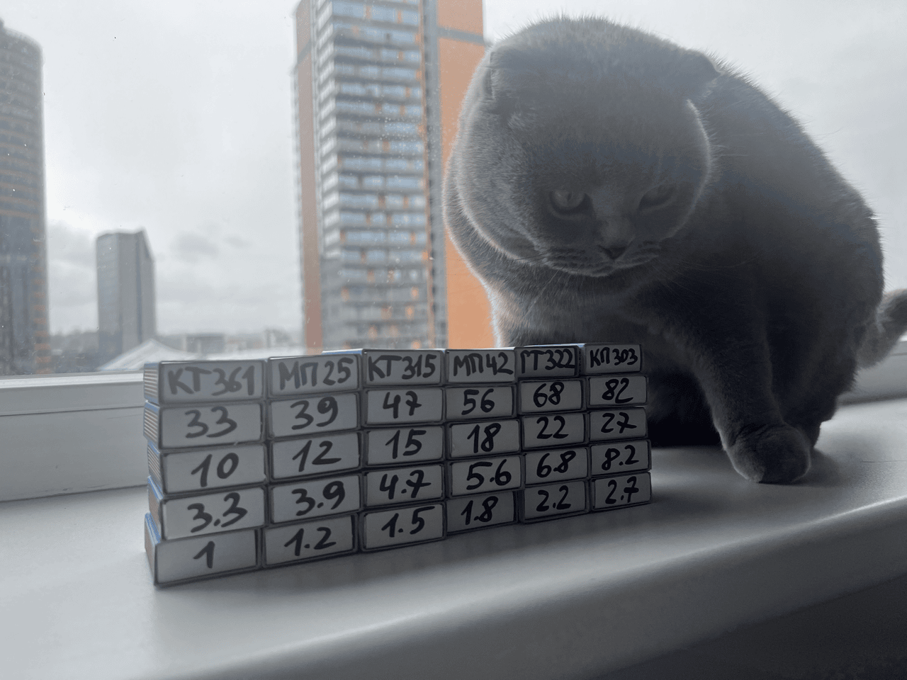 Photo of a cat with match boxes