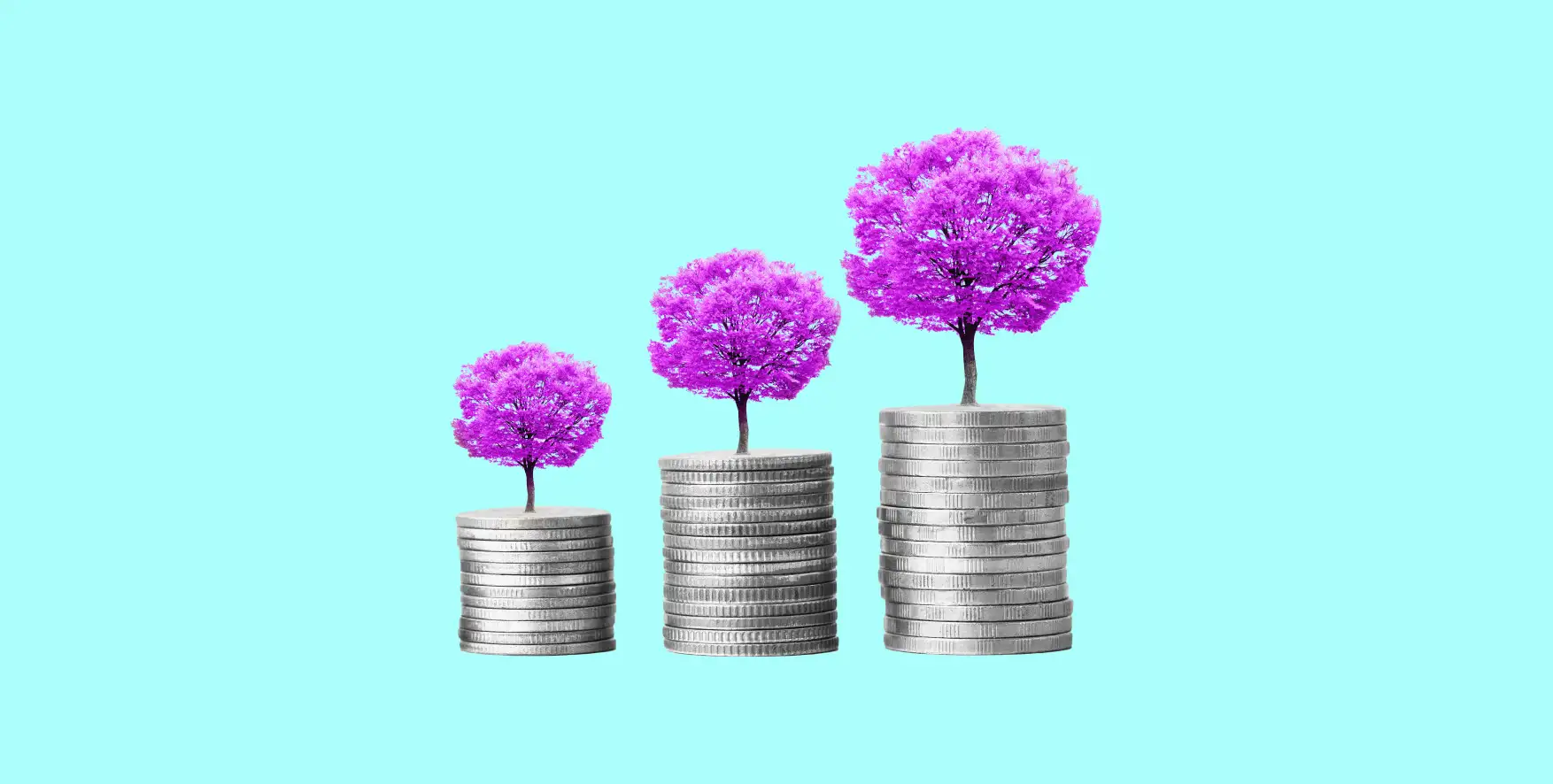 trees grow from stacks of coins