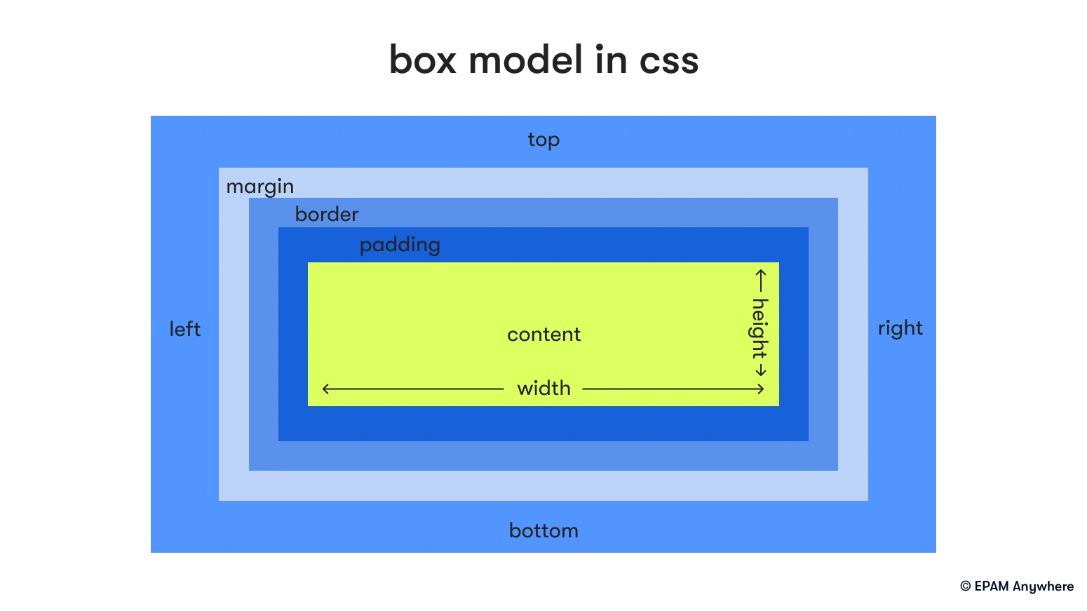 Box model in CSS: web technologies interview questions