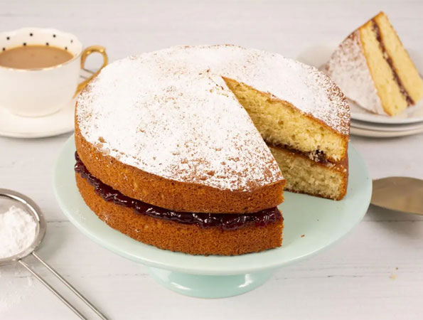 All in One Basic Sponge