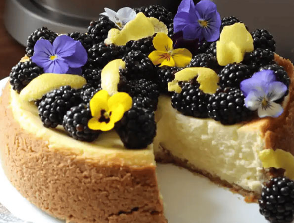 Baked Lemon & Blackberry Cheesecake by Shane Smith