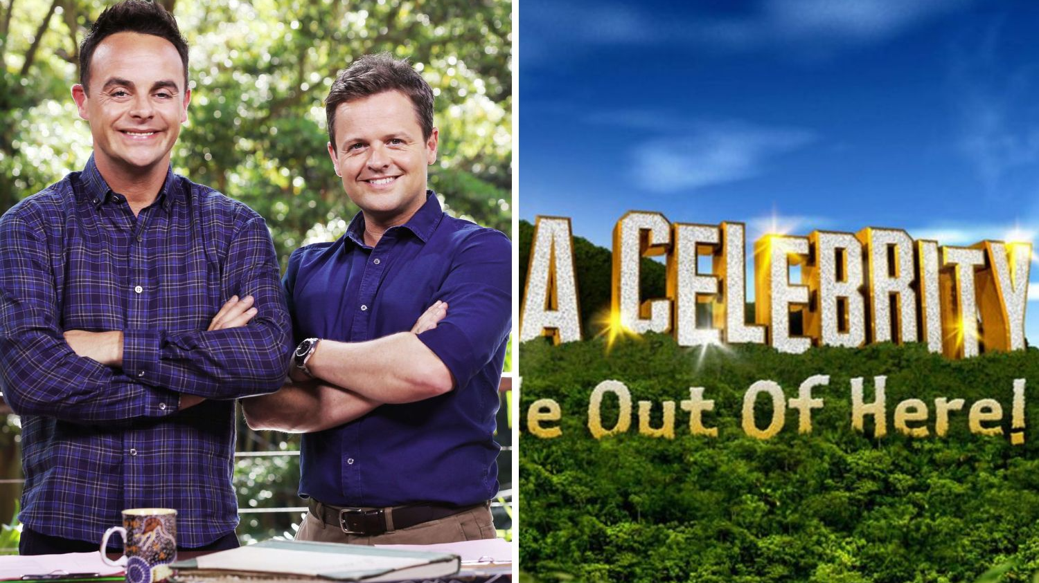 Watch im a celebrity online sales
