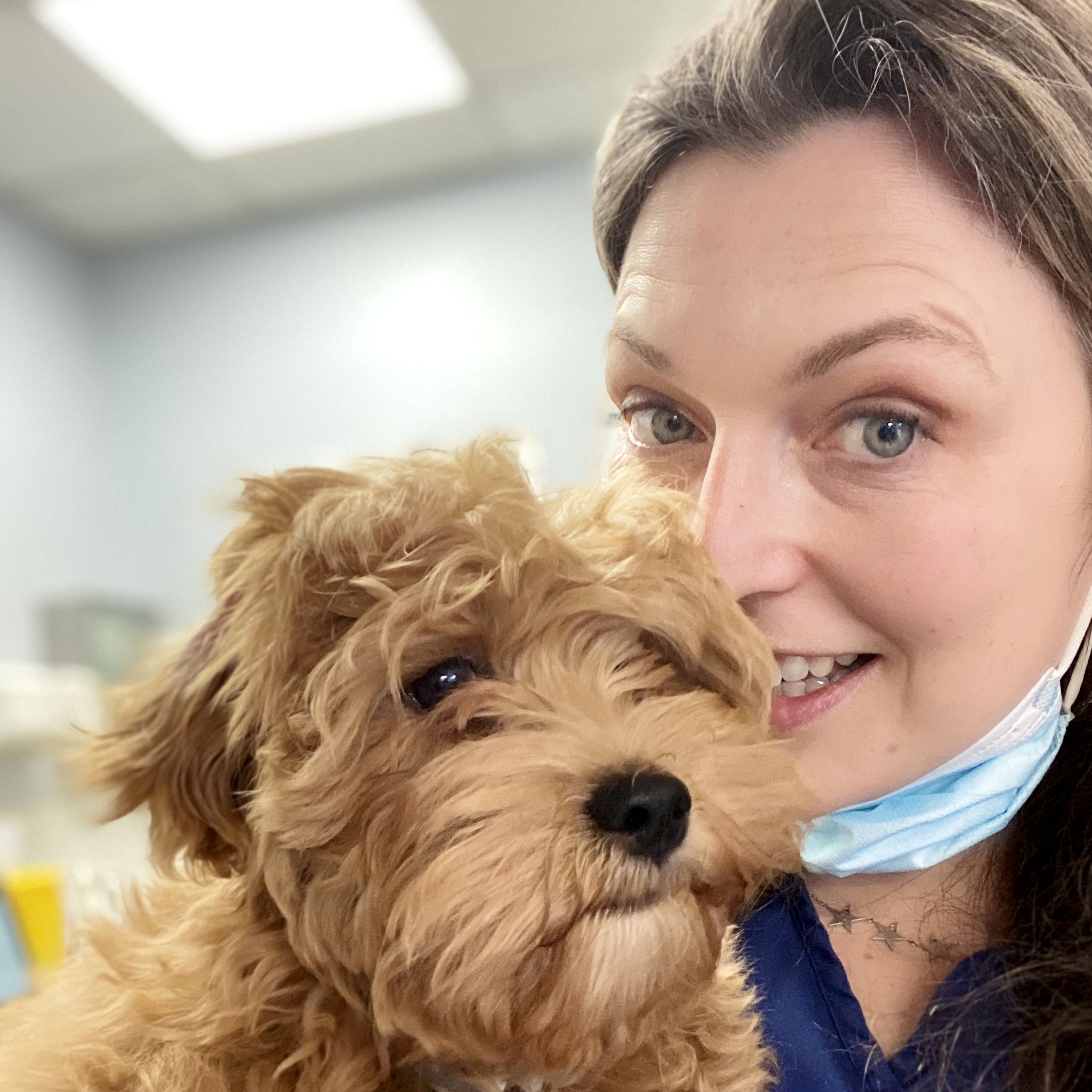 Are Ball Throwers Bad For Dogs