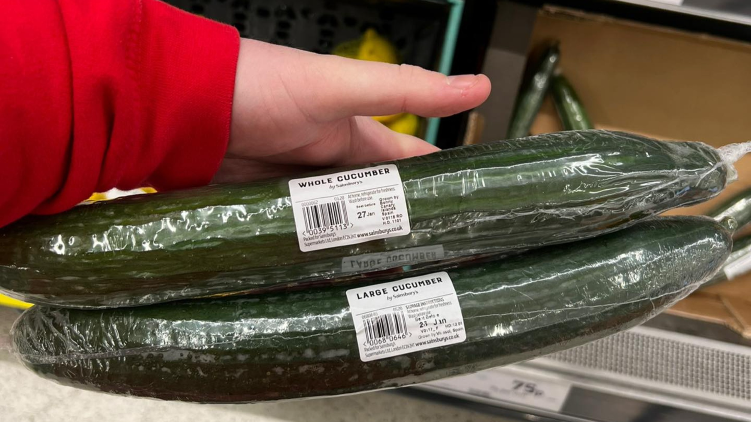 Sainsburys Customers Outraged By Price Of Extra Large Cucumber pic picture