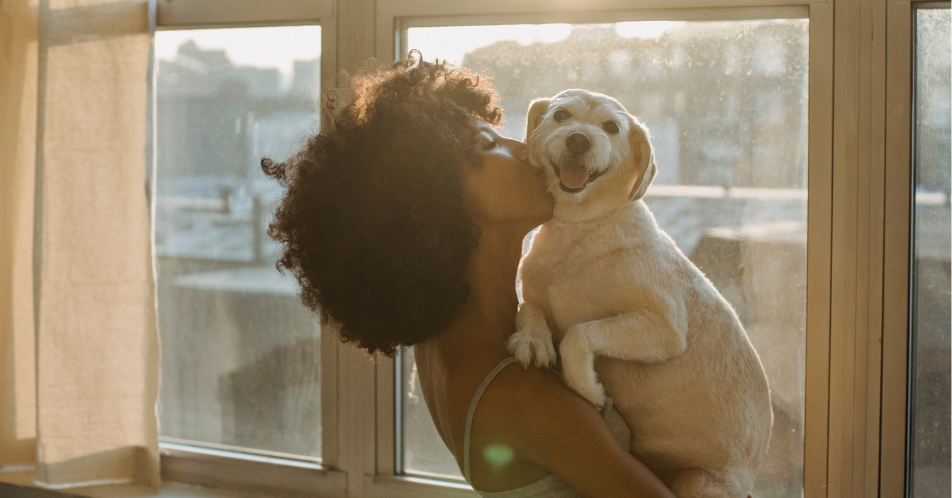 is it hygienic to kiss a dog