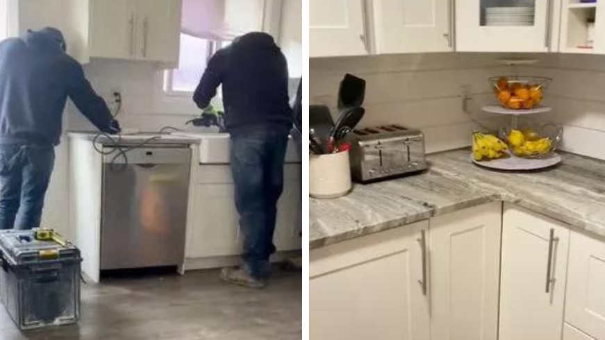 Woman praised for painting her kitchen appliances pink