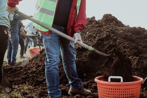 image of volunteer shoveling soil into a bucket in foreground with other volunteers shoveling in the background
