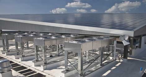 Emerson Looks to a Solar Future
