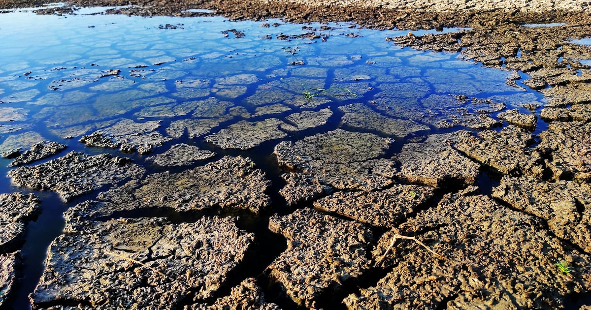 Virginia Report Finds Groundwater Running Dry for Data Centers