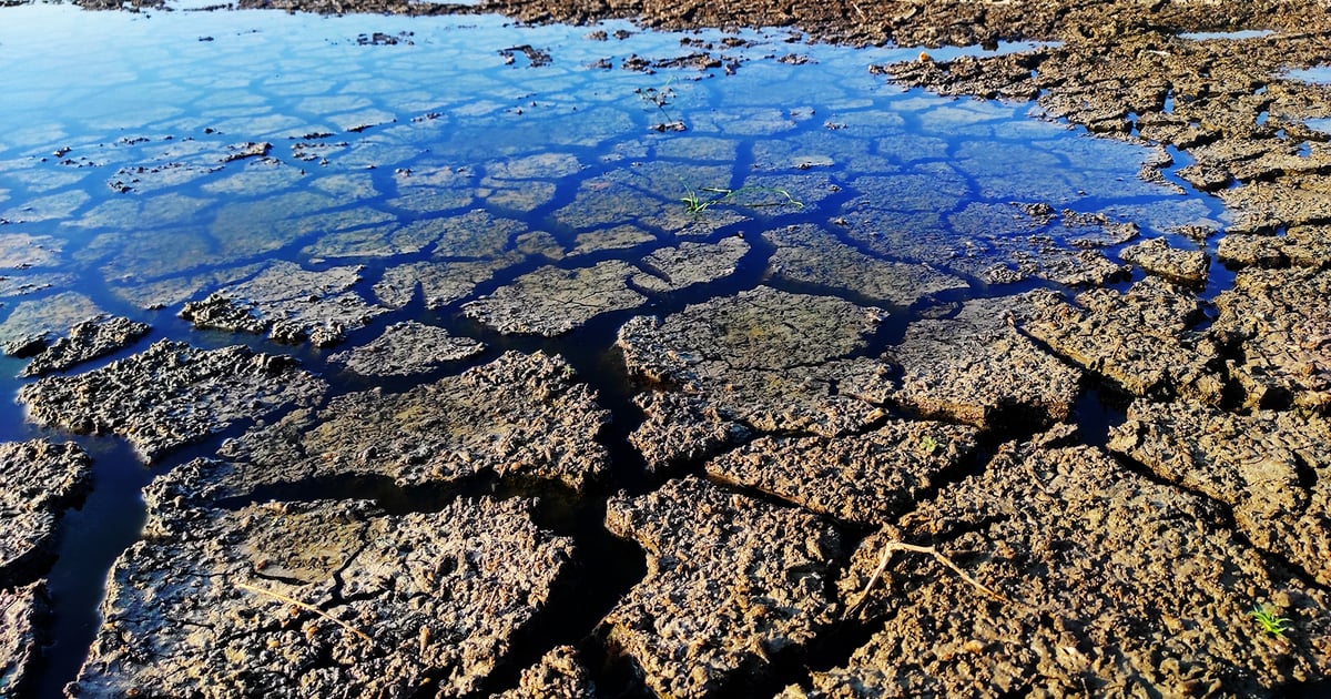 Virginia Report Finds Groundwater Running Dry for Data Centers