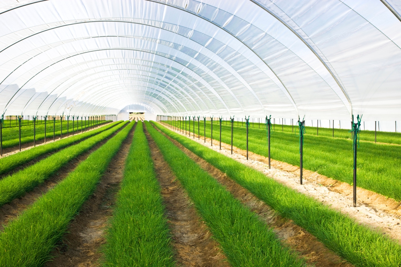Data center heat being reused in a greenhouse Data center heat being reused in a greenhouse