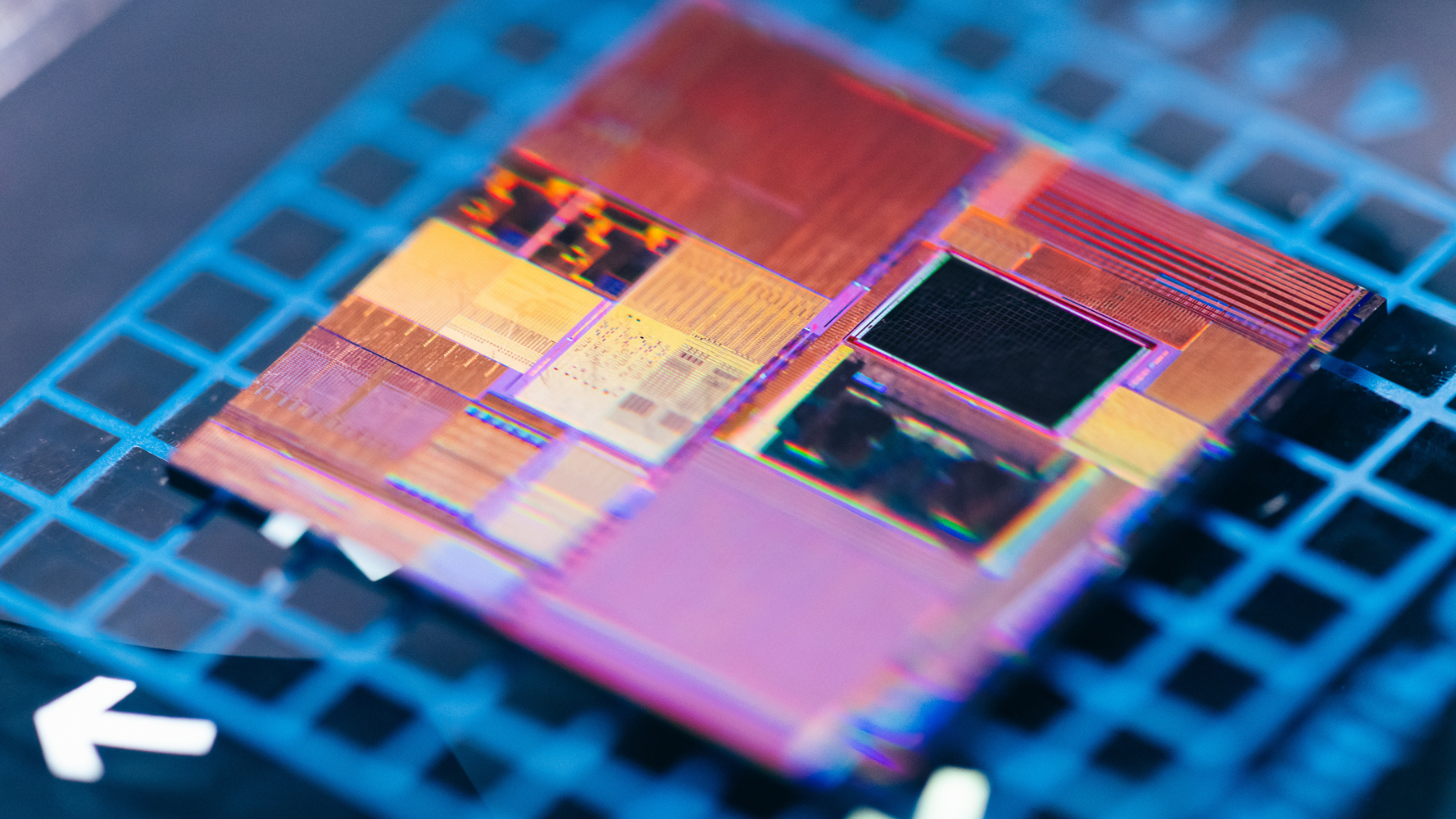 Macro photograph of a silicon wafer and semiconductor microchip die