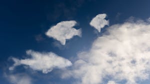Clouds shaped like fish on a blue sky. Clouds shaped like fish on a blue sky.