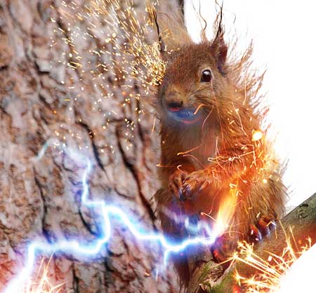 Squirrel Exploding Transformer Surviving Electric Squirrels and UPS Failures