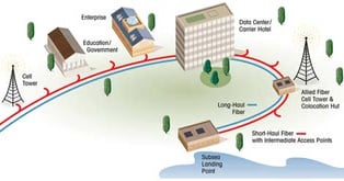 Allied Fiber: The Network Branches Out