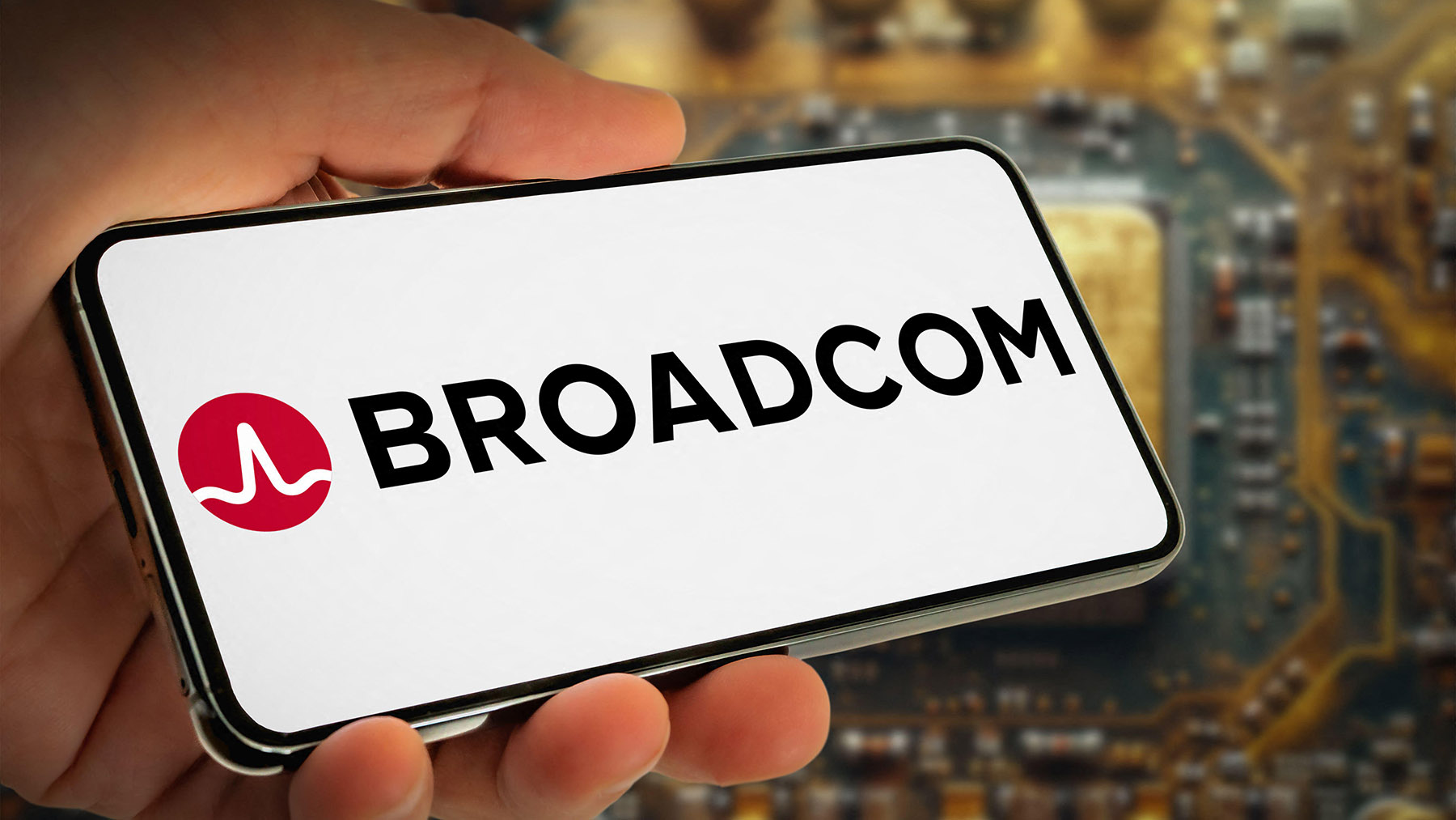 Broadcom CEO’s $100B AI Chip Bet Highlights Push for Silicon Diversity