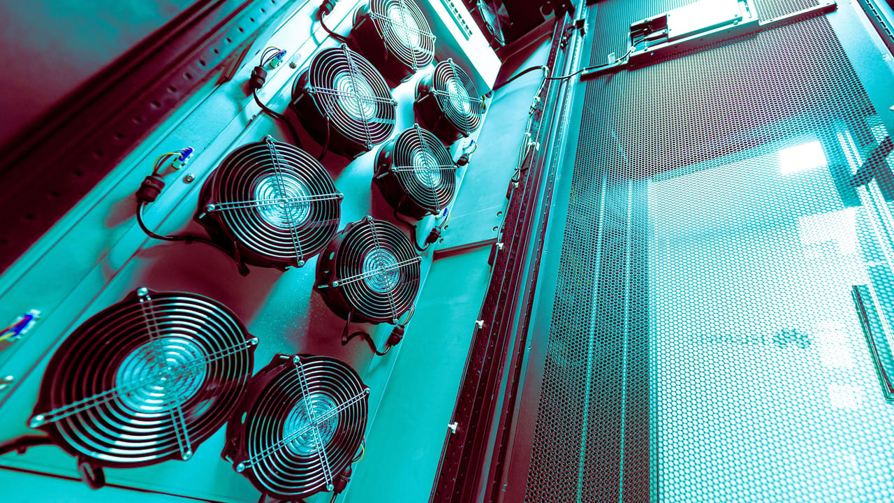 rows of data center servers