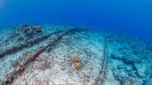 TransPacific undersea communication cables on the ocean floor 