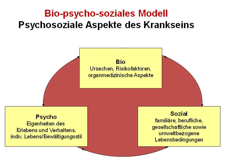 biopsychosoziales_modell