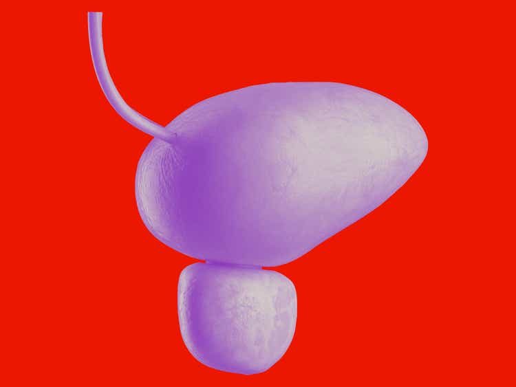 Unsere Produkte beim Blasenkarzinom