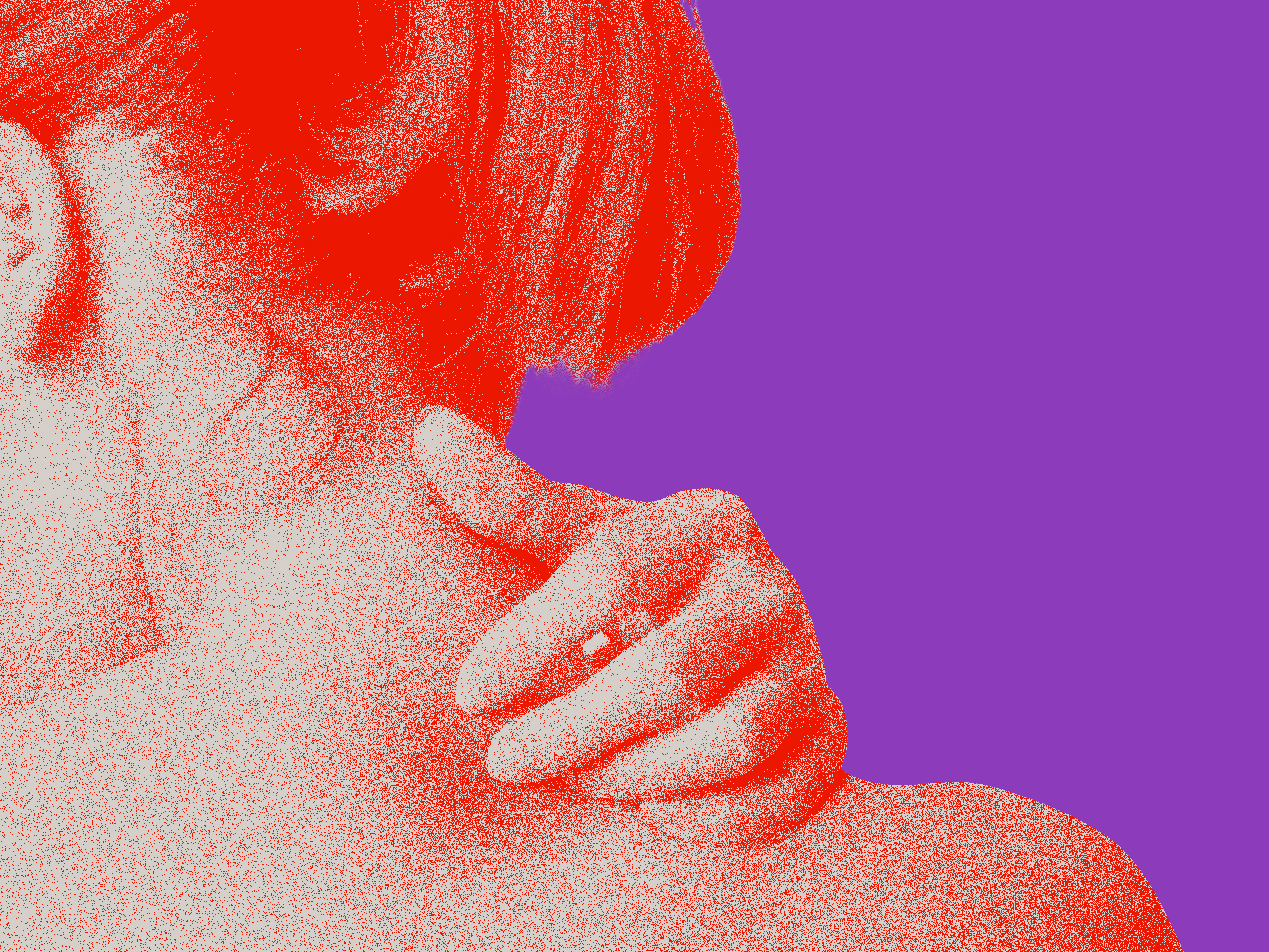 Medizinische Fortbildung Immunologie