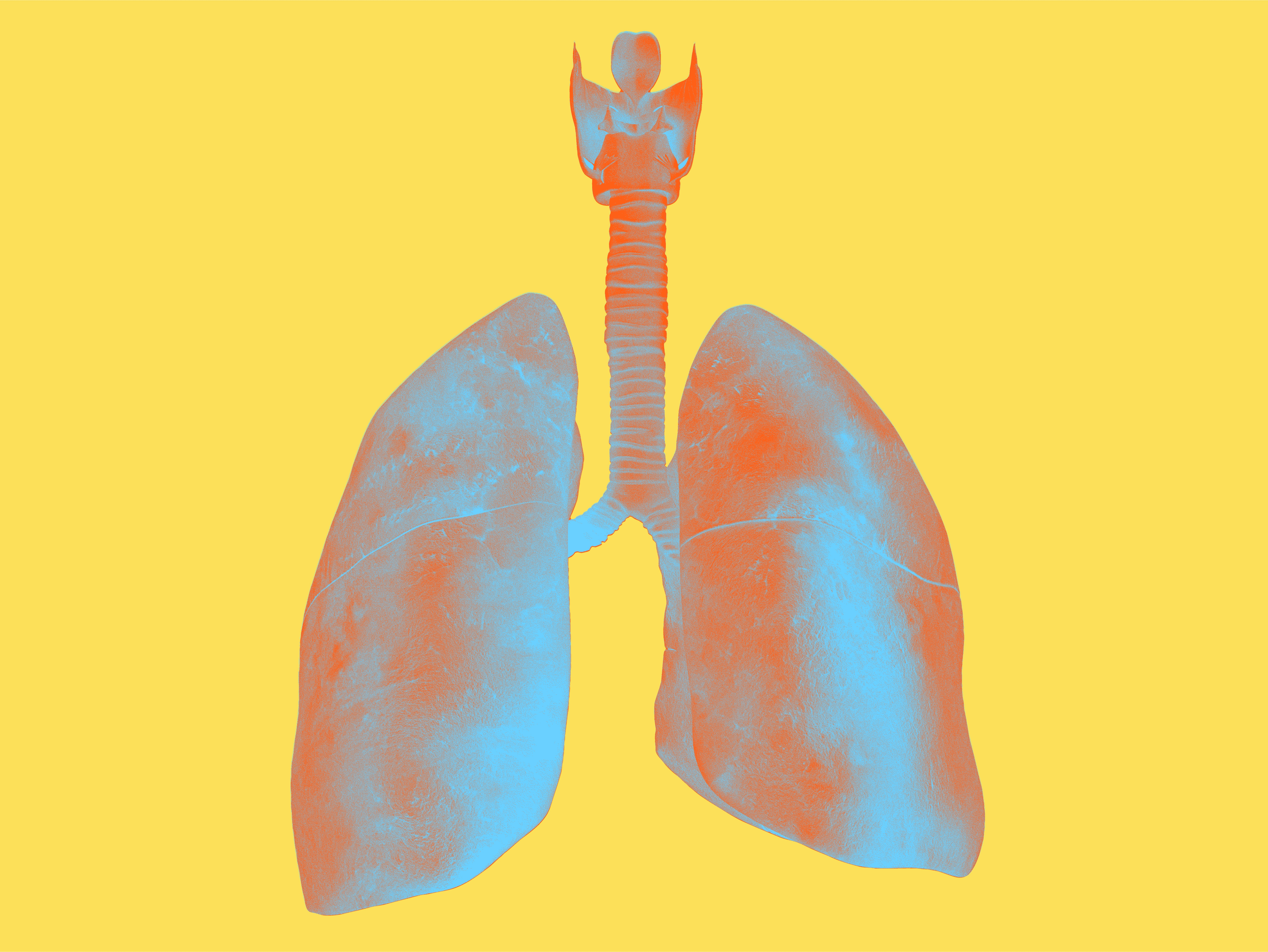 Fokusgebiet: Onkologie & Hämatologie - Lungenkrebs